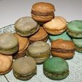 Macarons 1ère