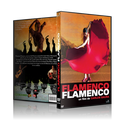 Flamenco flamenco