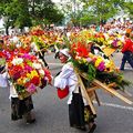 DES FLEURS DE COLOMBIE - POUR FÊTER LE 21 JUIN 2019 - L'ETE