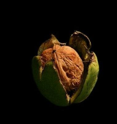 Déshabillez-moi... dans le noir...