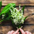 LE MUGUET DU 1er MAI