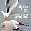 MISES A NU, Carine-Laure Desguin, Editions Jacques Flament, collection Dialogue, 2022, une lecture de Pascale Gillet-B