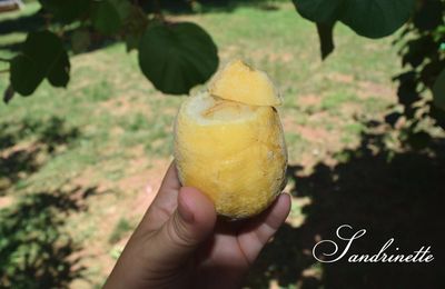 Citron givré