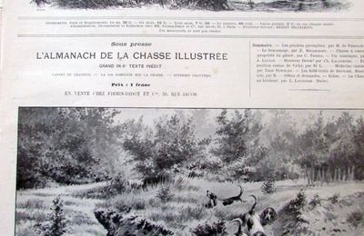 Chasse lievre chien illustration ancienne 1897 sp48