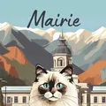 La crise à la mairie