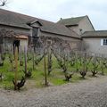 [Beaujolais] visite au hameau Duboeuf