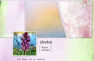 Digiscrap