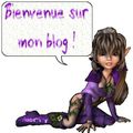 Binvenue sur mon blog