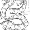 jeu du serpent Vers les maths accès édition