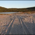 GRANDS NETTOYAGES DES PLAGES ?