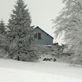 C'est une maison bleue ...