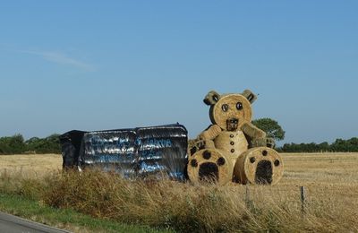 Un peu d'été