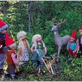 Les lutins des bois et Belles-Cornes