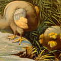 Le Dodo, l'oiseau emblématique de l'île Maurice...