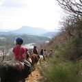 la journée poney du 13 avril