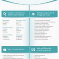 Infographic of web Development Company by Biztech Consultancy