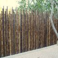 Honneur à la clôture en bambou TITI