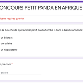 CONCOURS PANDA EN AFRIQUE