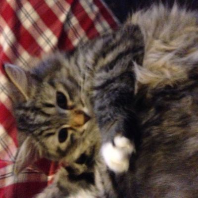 Imagine des Monts Bourbons vendue