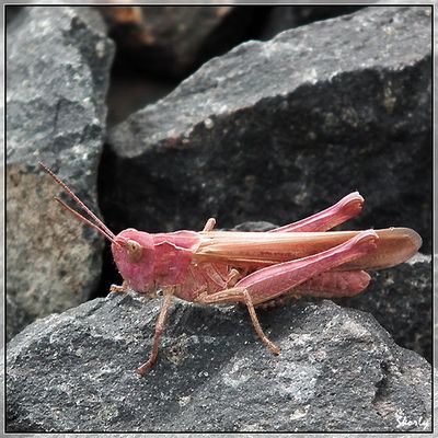 Photo du 6 juillet 2011