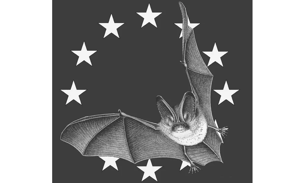 Le 29 aout, c'est la nuit internationale de la chauve souris!