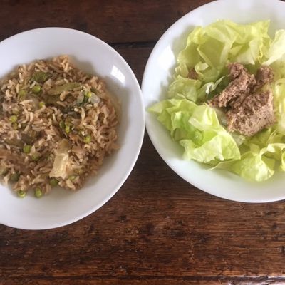 Repas du jour, un exemple de repas végétal complet, et IG bas