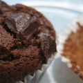 Muffins tout chocolat 