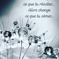 Si tu n'aimes pas ce que tu récoltes 💙💙💙... Alors change ce que tu semes 💙💙💙... 