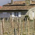 Visite au Château Guadet - Grand Cru Classé de Saint Emilion - Partie 2 : vignoble, cuvier, et chai