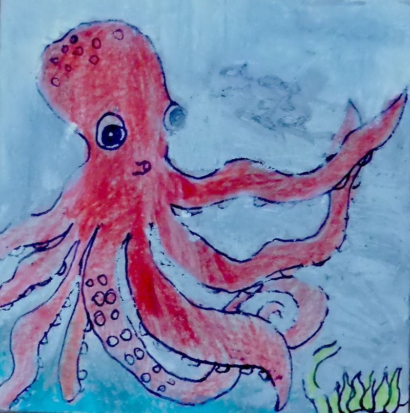 Mer-Pieuvre