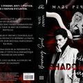 Chronique de Burning Soul Tome 3 de Maze Perkins 