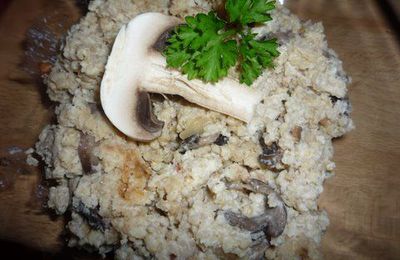 Millet aux champignons!