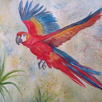 changement de l'environnement du blog associatif 