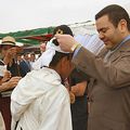 HRH Prince Moulay Rachid encounters for the traditional equestrian arts