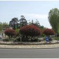 Rond-point à Nègrepelisse 