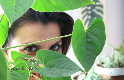 ▼▲▼ Urban Jungle Bloggers  : Plant Selfie ▼▲▼ Septembre 2016