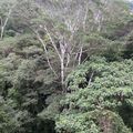 Le Costa Rica : En connexion avec la nature (1)