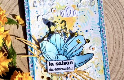 Défi #118 : le CBBB fête ces 17 ans ! 