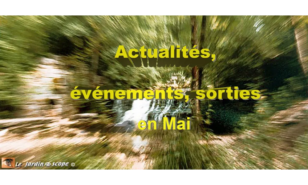 Actualités, événements, sorties en Mai 