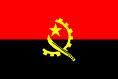 Des troupes angolaises à la rescousse de la RDC