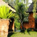 Encore une promenade dans UBUD