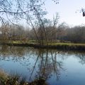 Une balade autour des Etangs des Gravières à DAX, le 5 janvier (suite)....