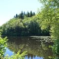 [Bretagne] randonner en forêt de Villecartier