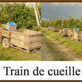 Le Train de Cueille