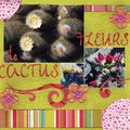 Fleurs de cactus