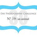 Day Photography Challenge...