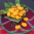 CONFITURE DE KUMQUAT PARFAITE À LA FLEUR D'ORANGER- معجون التشينه