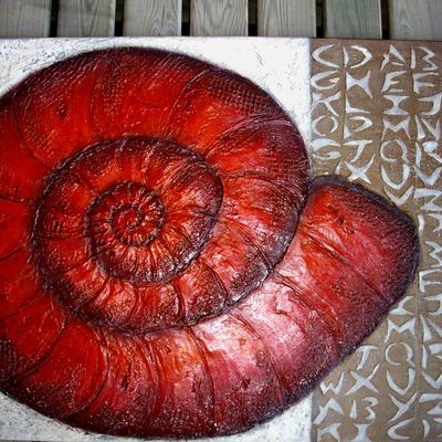 Fossile escargot