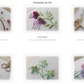 Fantaisies de Fils - Derniers Jours