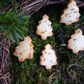 Biscuits sablés à l'orange confite et au Cointreau, une petite forêt de saveurs